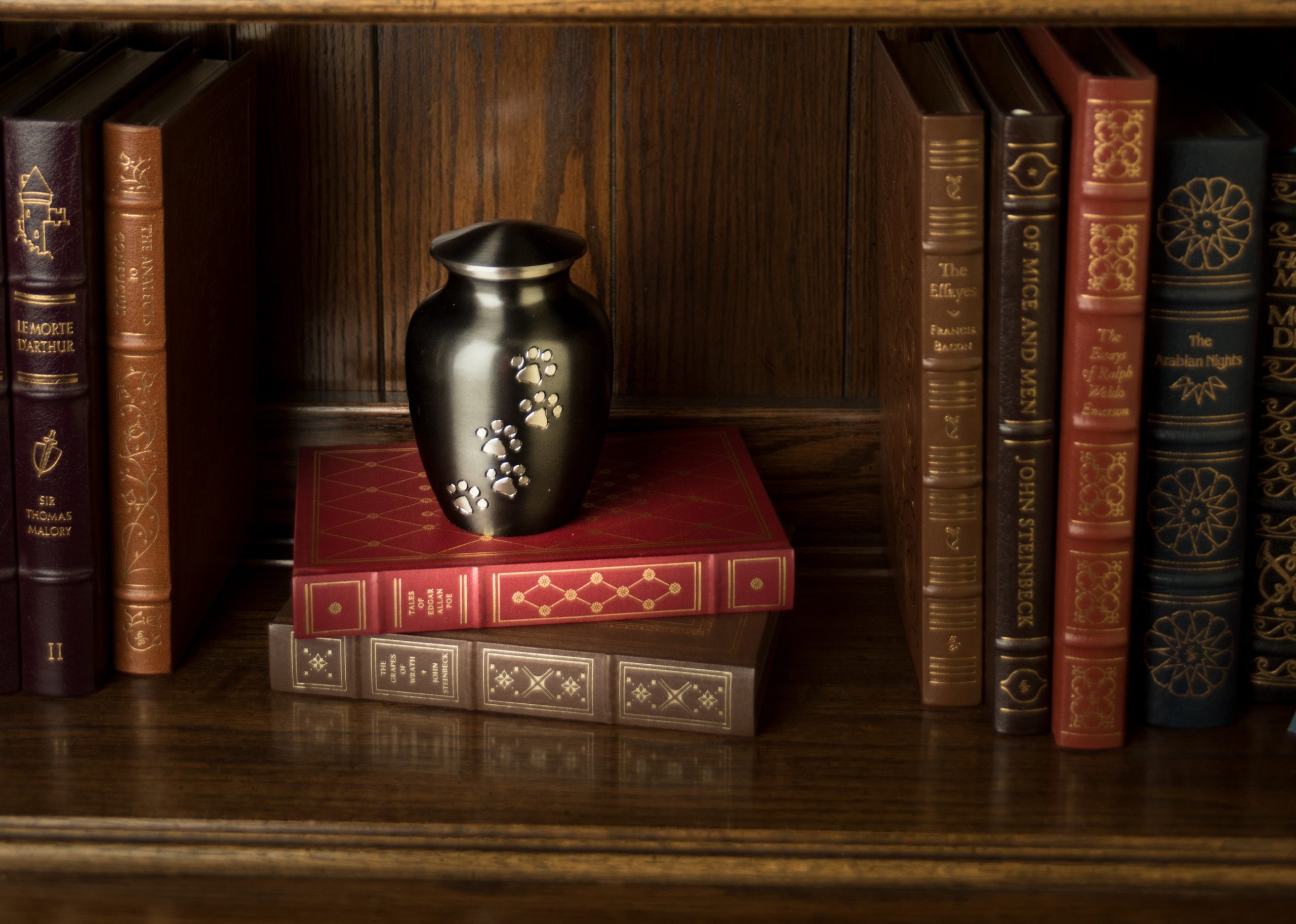 Friendship Series - Brown - Image 8