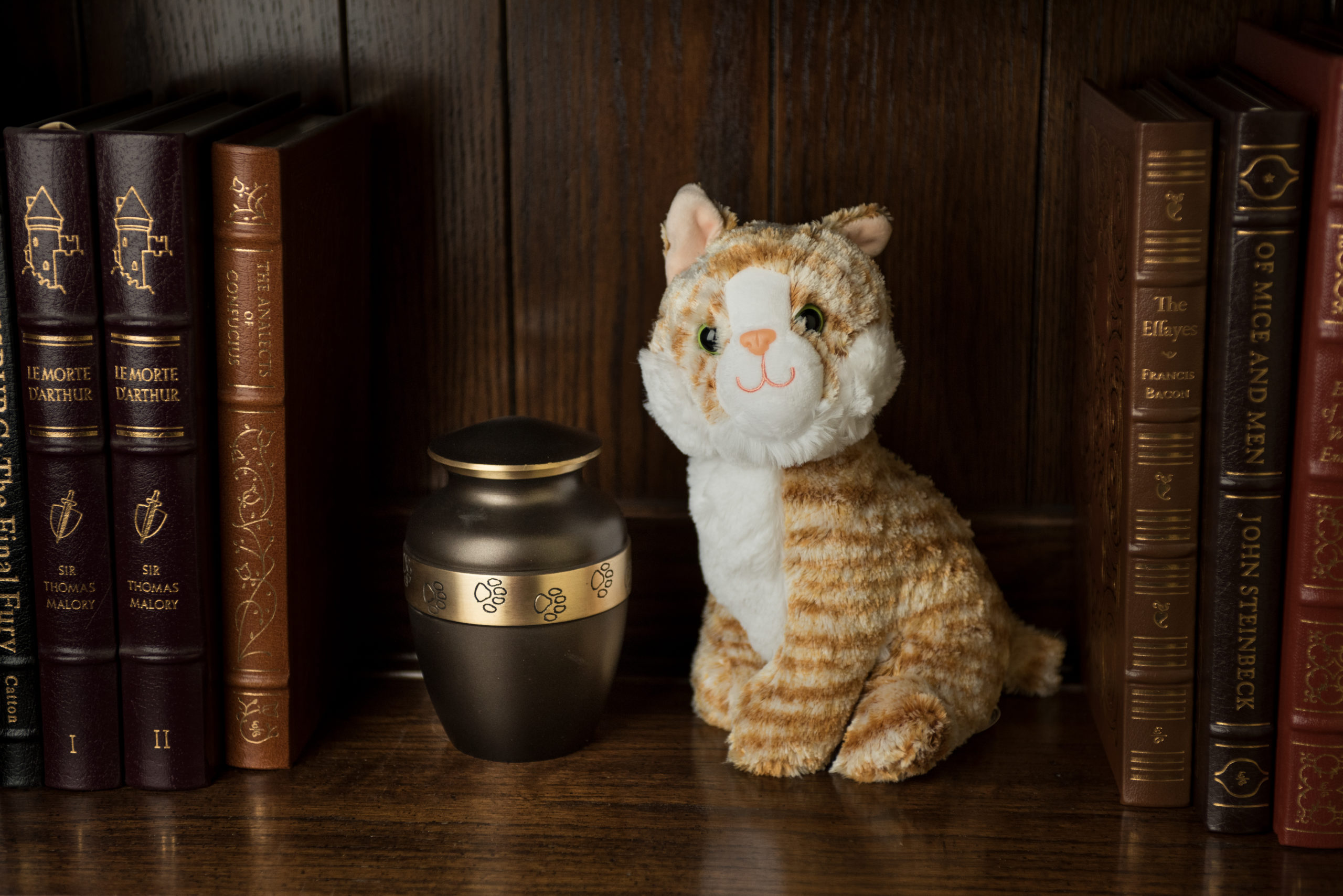 Friendship Series - Brown - Image 9