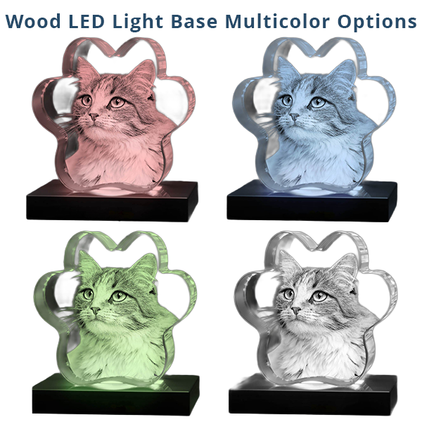 3D Crystal - Bone - Image 8